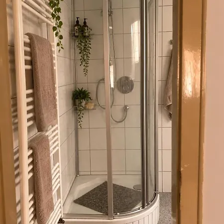 Appartement Boardinghouse Mit Terrasse In Der Innenstadt In Oberkirch (Baden)